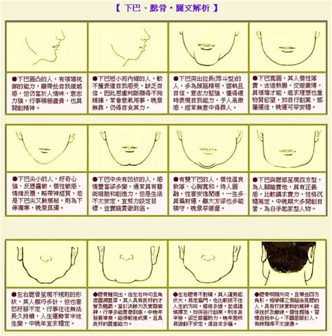 厚道下巴面相|厚道，從面相到醫學的探討┃Zenyum TW